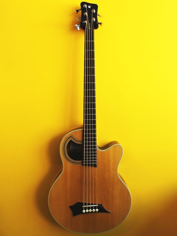 Warwick RB Alien Deluxe 5 NT 5-String Electroacoustic Bass